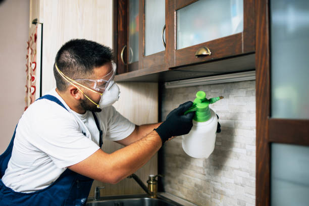 Best Pest Control for Restaurants  in Tucker, GA