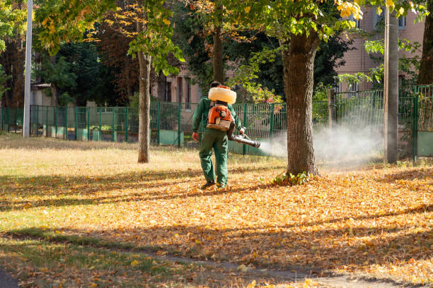Pest Control for Restaurants in Tucker, GA